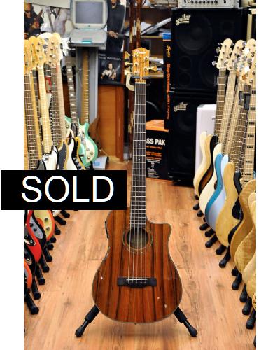 Fender Victor Bailey Acoustic 5